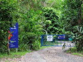 The Bat Hospital Visitor Centre - Broome Tourism 0