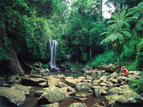 Tamborine National Park - Broome Tourism 0