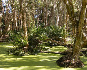 Arkarra Lagoons And Tea Gardens - Broome Tourism 0