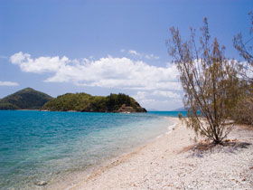 Shute Harbour QLD Broome Tourism