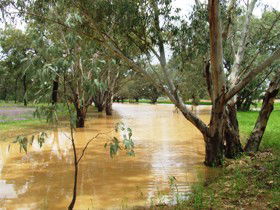 Saddliers Waterhole And Hamburg Creek - Broome Tourism 0
