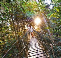 Tree Top Walkway - Broome Tourism