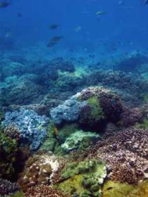 Bargara QLD Broome Tourism