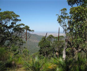 Zamia Walk - Broome Tourism 0