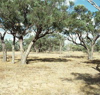 Forest Den National Park - Broome Tourism