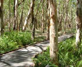 The Kommo Toera Trail - Broome Tourism 0