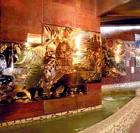Riversleigh Fossil Centre - Broome Tourism