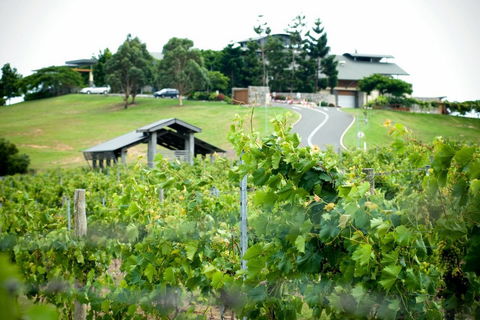 Sirromet Winery - Broome Tourism 10