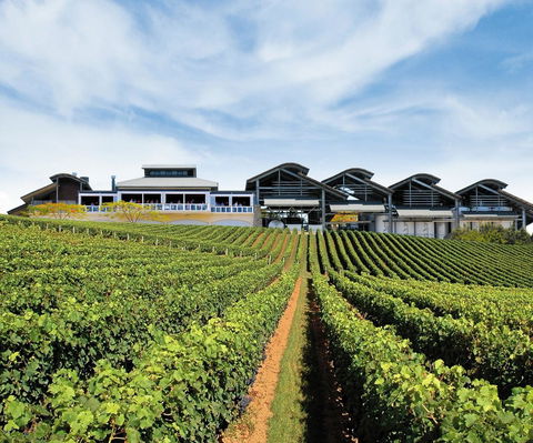 Sirromet Winery - Broome Tourism 12