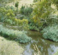 Yarrambat Park - Broome Tourism
