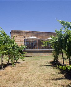 Shantell Vineyard - Broome Tourism 0