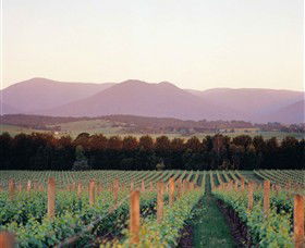 Domaine Chandon - Broome Tourism 0