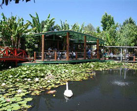 Blue Lotus Water Garden - Broome Tourism 0