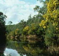 Warrandyte State Park - Broome Tourism