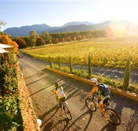 Boyntons Feathertop Winery - Broome Tourism