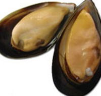 Sea Bounty - Broome Tourism