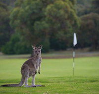 Anglesea Golf Club - Broome Tourism