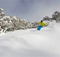 Mt Buller and Mt Stirling Alpine Resort - Broome Tourism