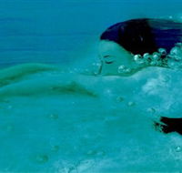 Muse - Broome Tourism
