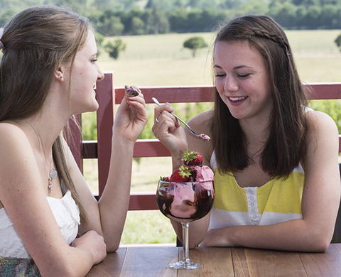 Yarra Valley Chocolaterie & Ice Creamery - Broome Tourism 8