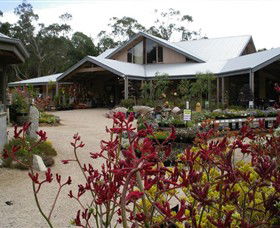 Kuranga Native Nursery And Paperbark Cafe - Broome Tourism 0