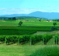 Acacia Ridge Vineyard - Broome Tourism