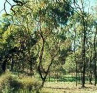 Leaghur State Park - Broome Tourism
