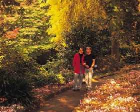 George Tindale Memorial Gardens - Broome Tourism 0