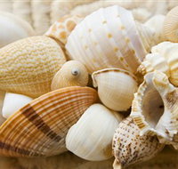 Anglesea Beach Club - Broome Tourism