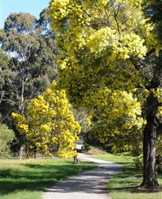 Surrey Hills VIC Broome Tourism