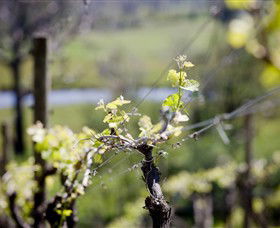 Eldridge Estate Of Red Hill - Broome Tourism 0