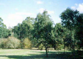 Sweeneys Flat - Broome Tourism 0