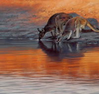 Steve Morvell Wildlife Art - Broome Tourism