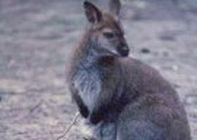Churchill National Park - Broome Tourism 0