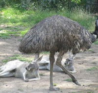 Bundoora Park - Broome Tourism