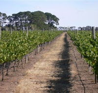 Mount Beckworth Wines - Broome Tourism