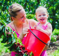 Cherryhill Orchards - Broome Tourism