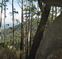 Gulaga National Park - Broome Tourism