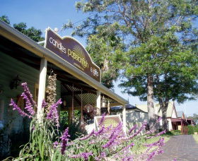Passionfish Candles - Broome Tourism 0