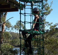 Trees Adventure Shoalhaven - Broome Tourism