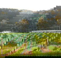 Tilba Valley Wines - Broome Tourism