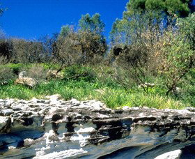 Abrahams Bosom Reserve - Broome Tourism 0