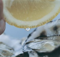 Pearly Oyster Bar and Farm - Broome Tourism