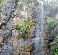 Wedding Bells Forest Drive - Broome Tourism