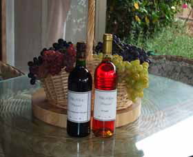 Villa D Esta Vineyard - Broome Tourism 2