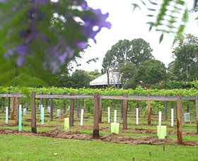 Douglas Vale Historic Homestead & Vineyard - Broome Tourism 0