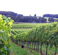 Banjo's Run Winery and Vineyard - Broome Tourism