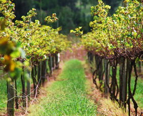 Fussy Grape Winery - Broome Tourism 2