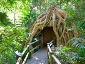 Cedar Creek Estate Vineyard And Winery - Broome Tourism 1