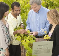 Jacob's Creek Vineyard Tour - Broome Tourism